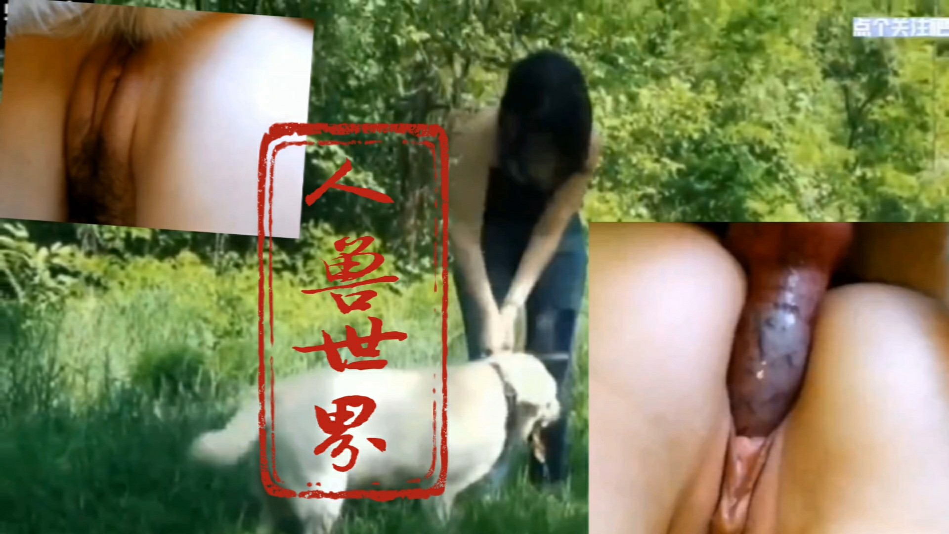 （人与兽系列）少妇遛狗散步，骚穴痒了就让狗爆操骚逼-变态